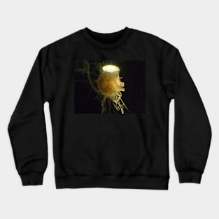 Golden Jellyfish Photo Print And Others Crewneck Sweatshirt